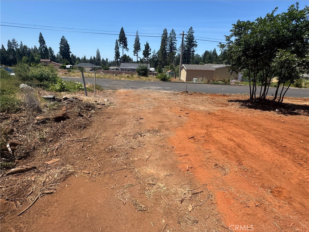 14053 Pineland Circle Property Photo 4