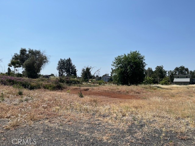 696 Buschmann Road Property Photo 3