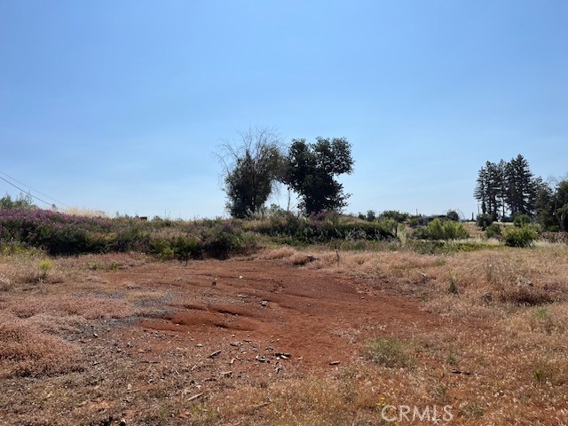 696 Buschmann Road Property Photo 4