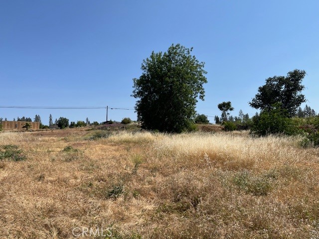 696 Buschmann Road Property Photo 6