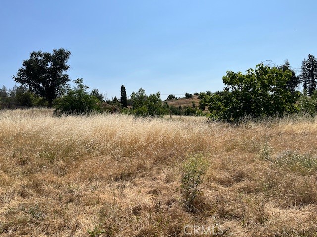 696 Buschmann Road Property Photo 7