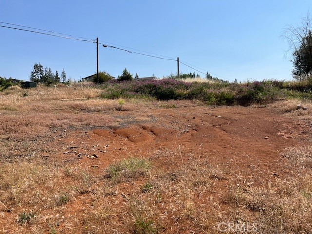 696 Buschmann Road Property Photo 9