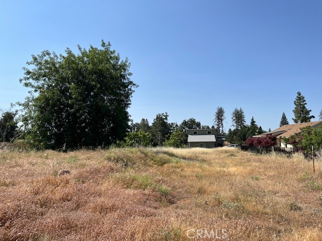 696 Buschmann Road Property Photo 10