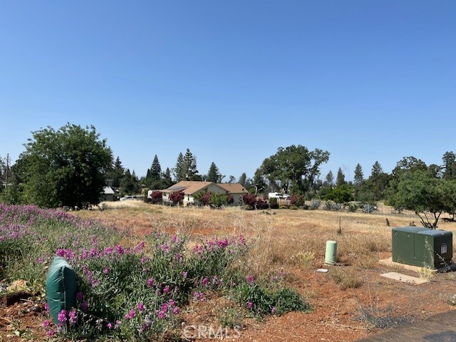 696 Buschmann Road Property Photo 12