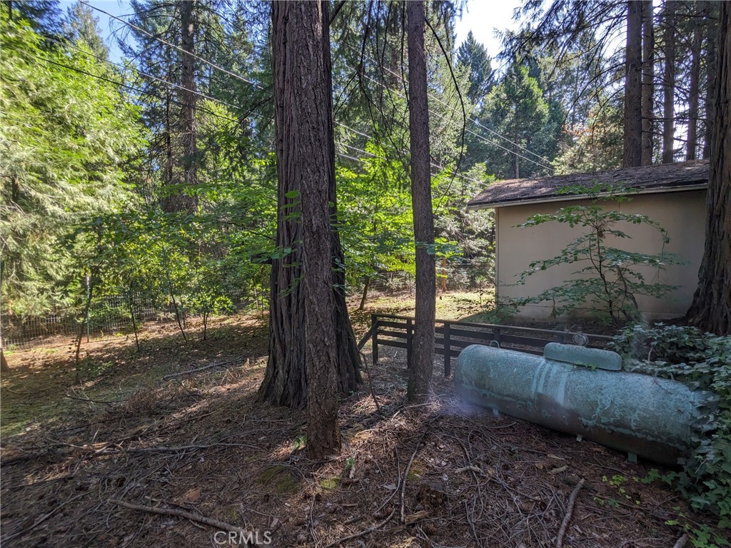 15100 Jack Pine Way Property Photo 45