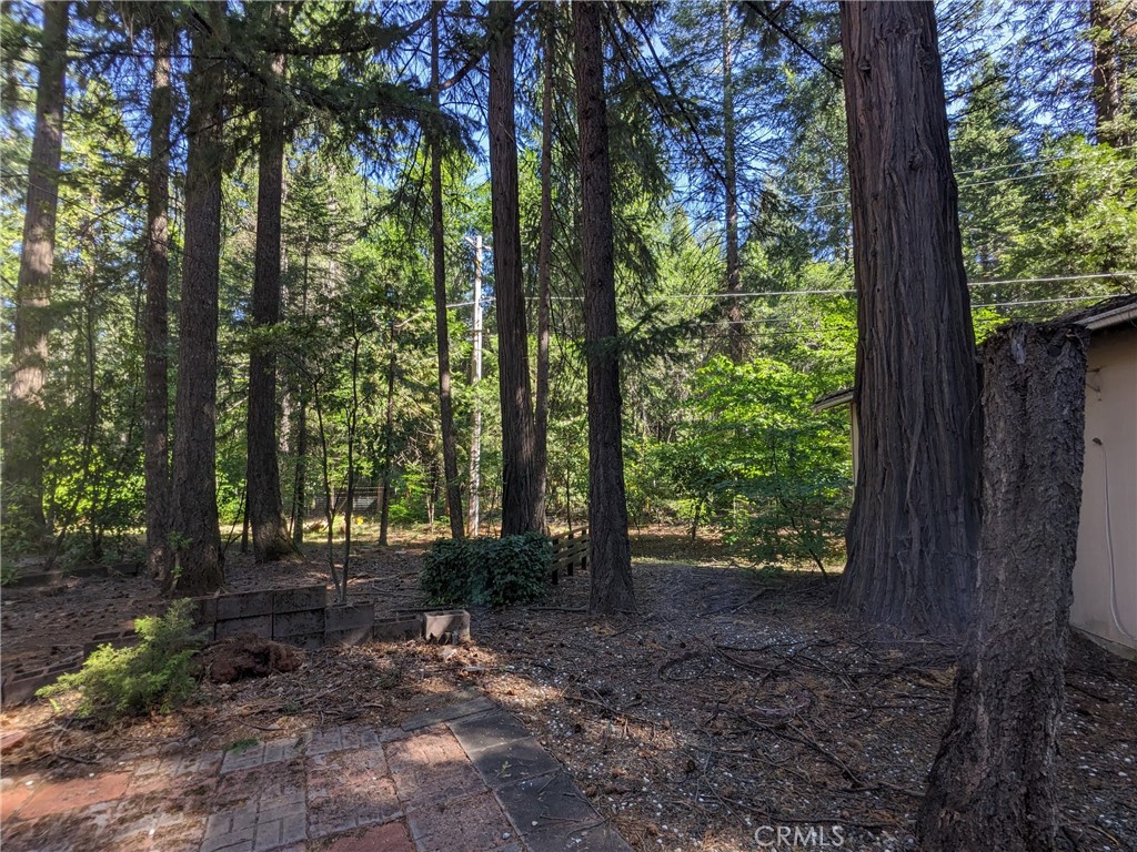 15100 Jack Pine Way Property Photo 46