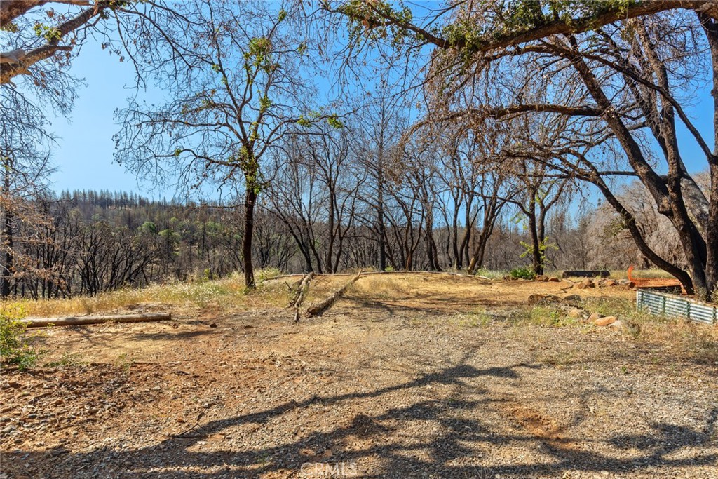 105 Harvey Road Property Photo 2