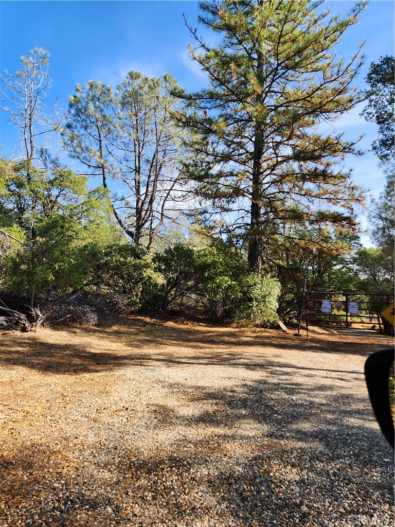 7949 Marie Lane Property Photo 1