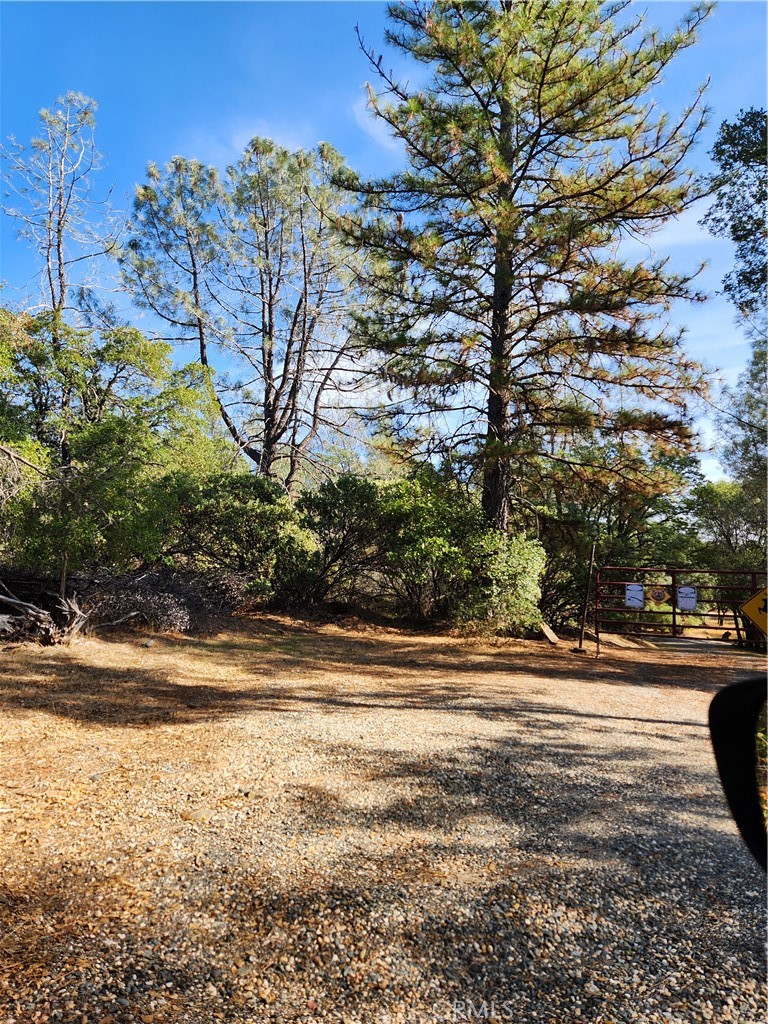 7949 Marie Lane