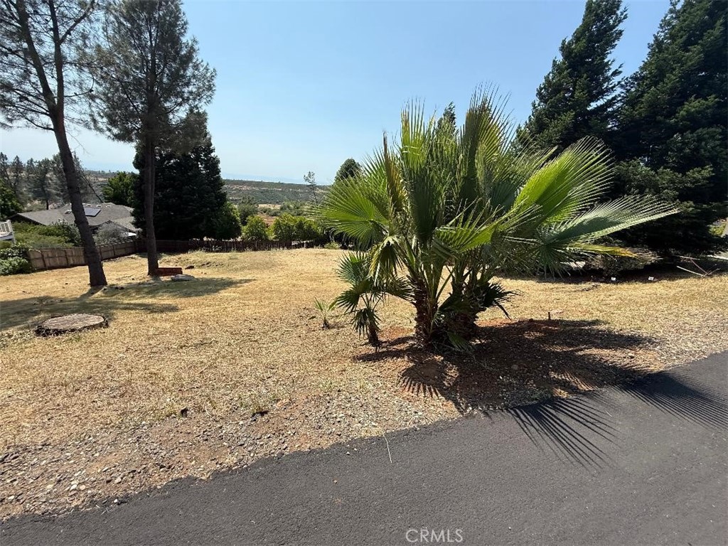 4441 Sierra Del Sol Property Photo 3
