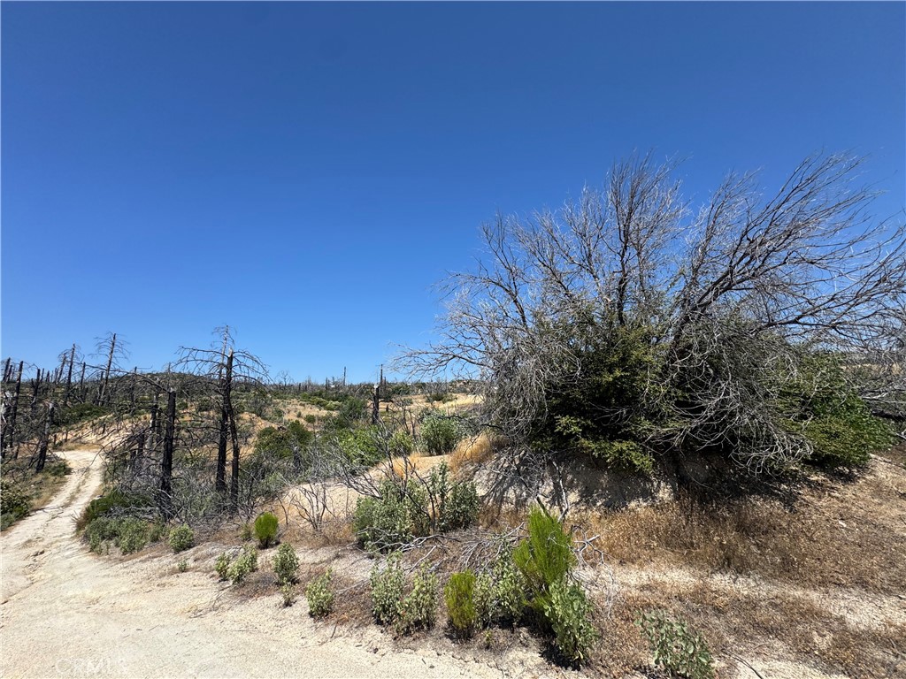 0 Sierra View Property Photo 1