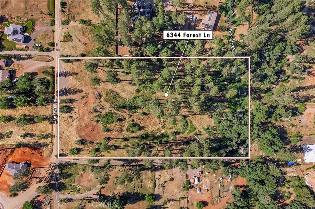6344 Forest Lane Property Photo 4