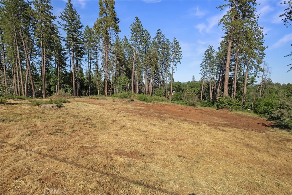 6344 Forest Lane Property Photo 7