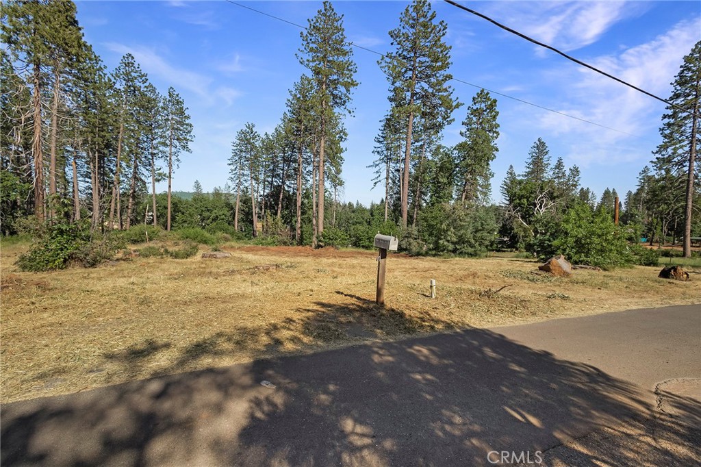 6344 Forest Lane Property Photo 8