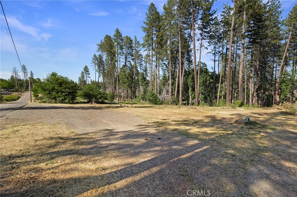 6344 Forest Lane Property Photo 9