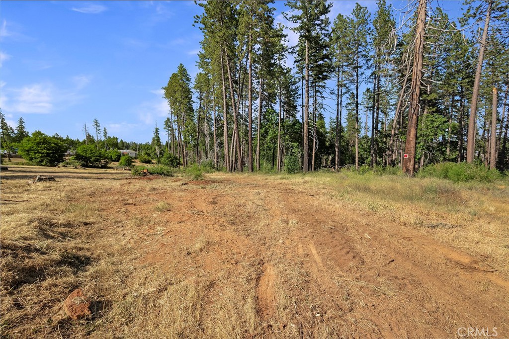 6344 Forest Lane Property Photo 11