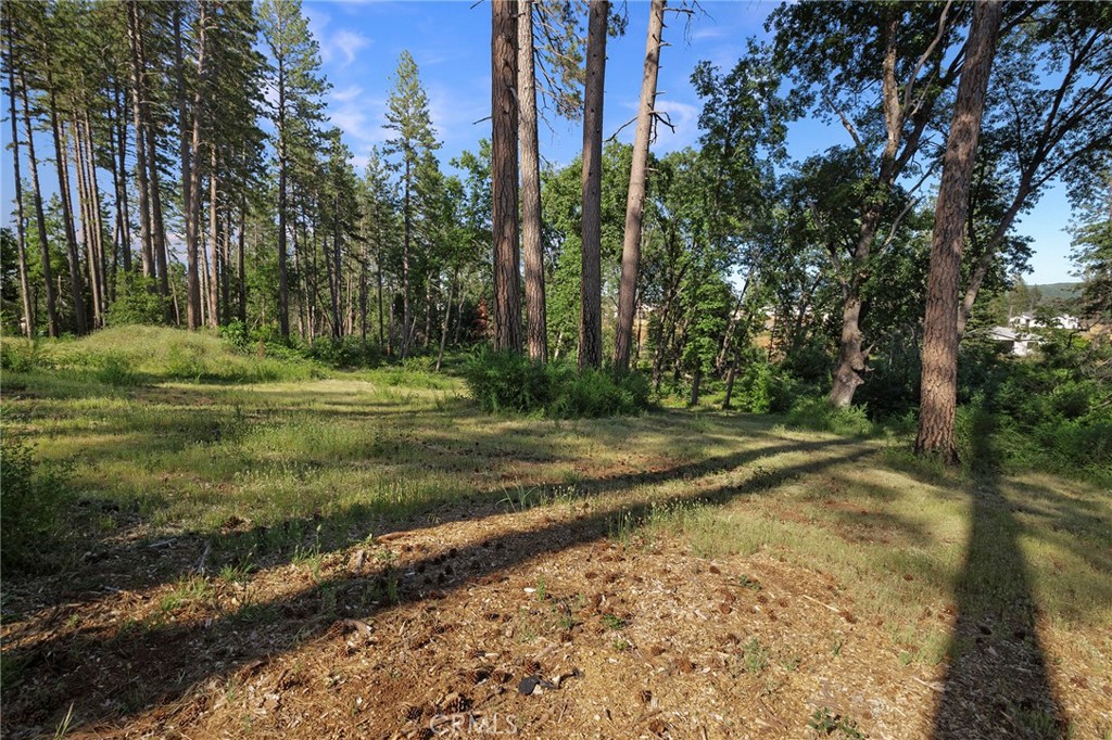 6344 Forest Lane Property Photo 12
