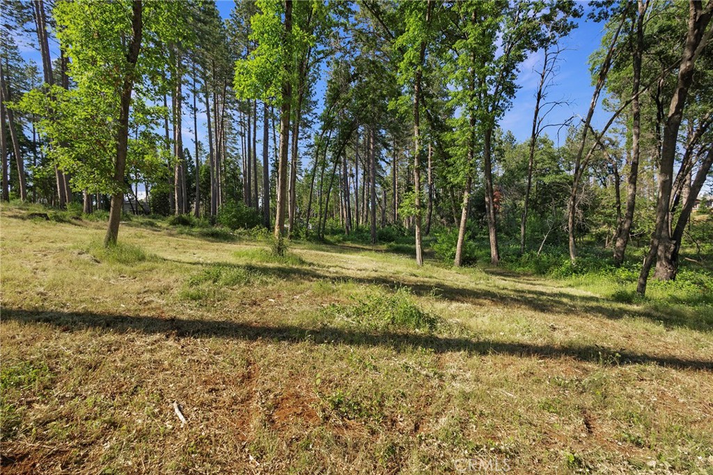 6344 Forest Lane Property Photo 13