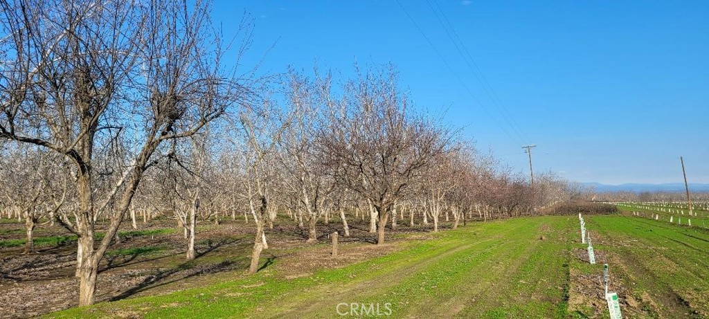 0 River Road Property Photo 1