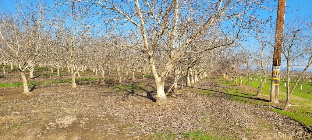 0 River Road Property Photo 2