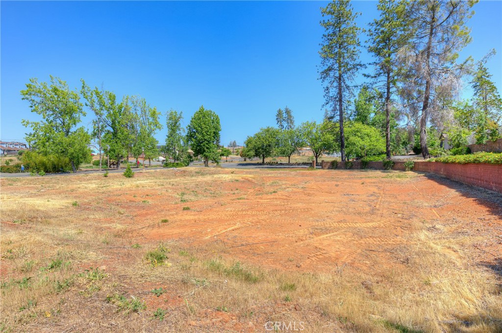 771 Buschmann Road Property Photo 16