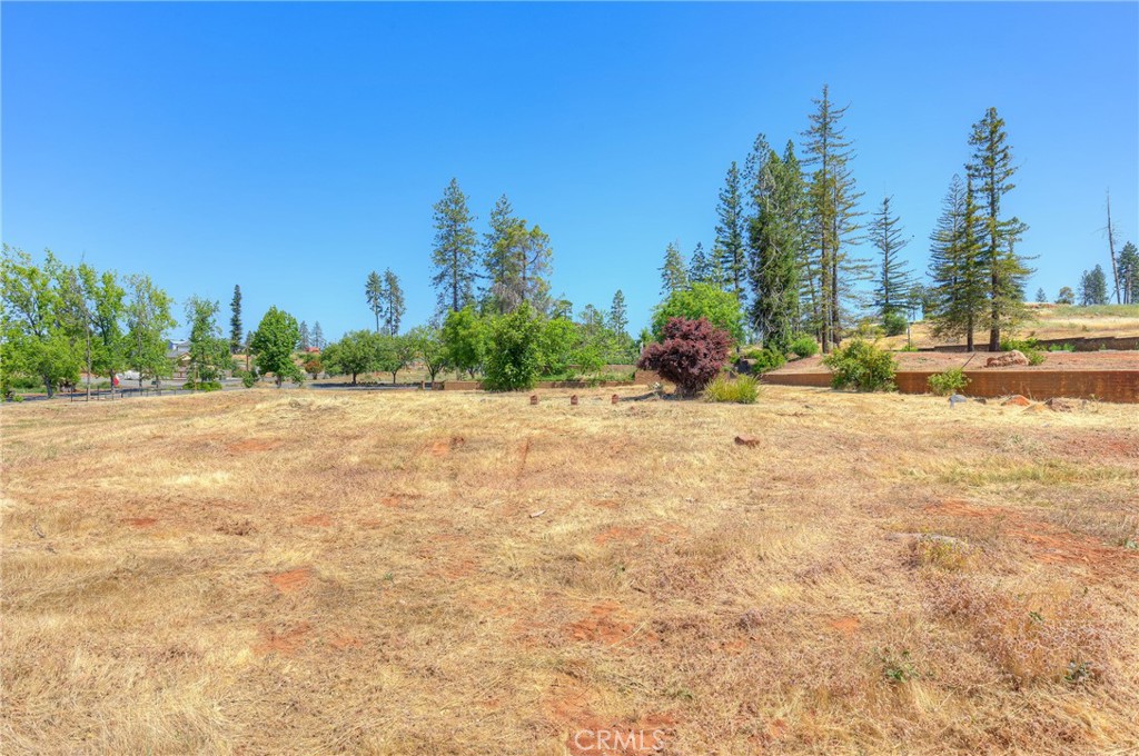 771 Buschmann Road Property Photo 24