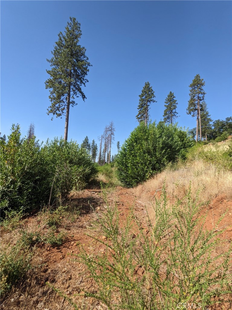 1880 Stearns Road Property Photo 16