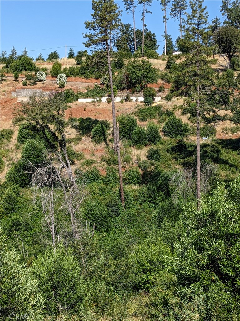 1880 Stearns Road Property Photo 20