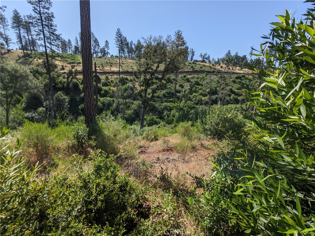 1880 Stearns Road Property Photo 23