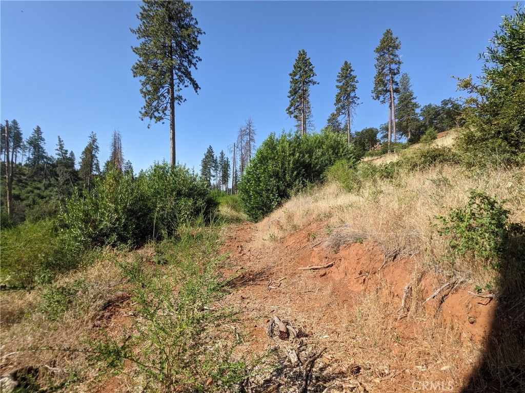 1880 Stearns Road Property Photo 24