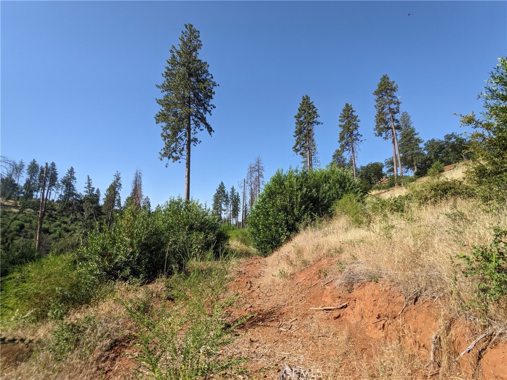 1880 Stearns Road Property Photo 25