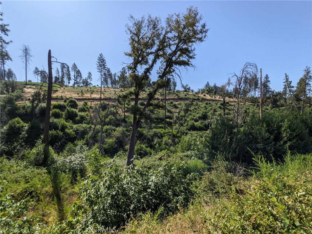 1880 Stearns Road Property Photo 26