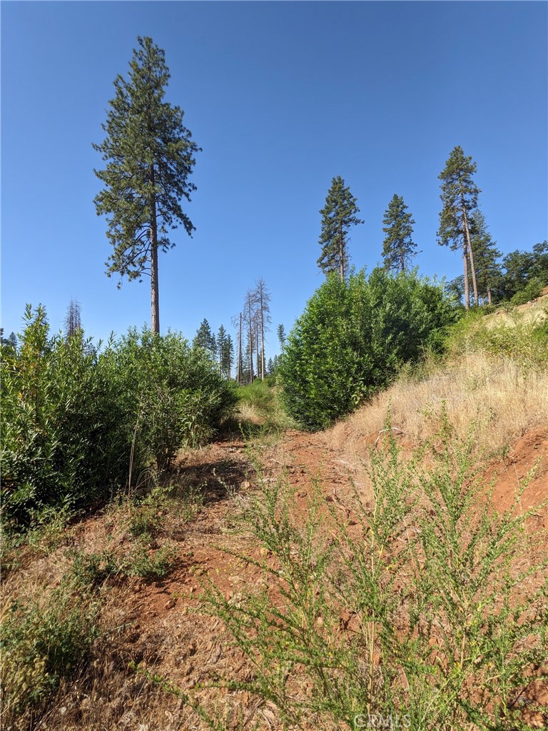 1880 Stearns Road Property Photo 27