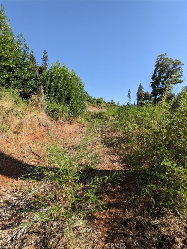 1880 Stearns Road Property Photo 28
