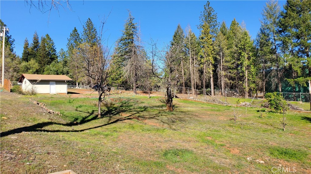 504 Nunneley Road Property Photo 4