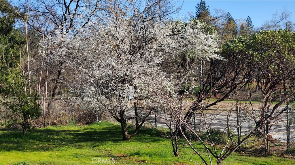 504 Nunneley Road Property Photo 6