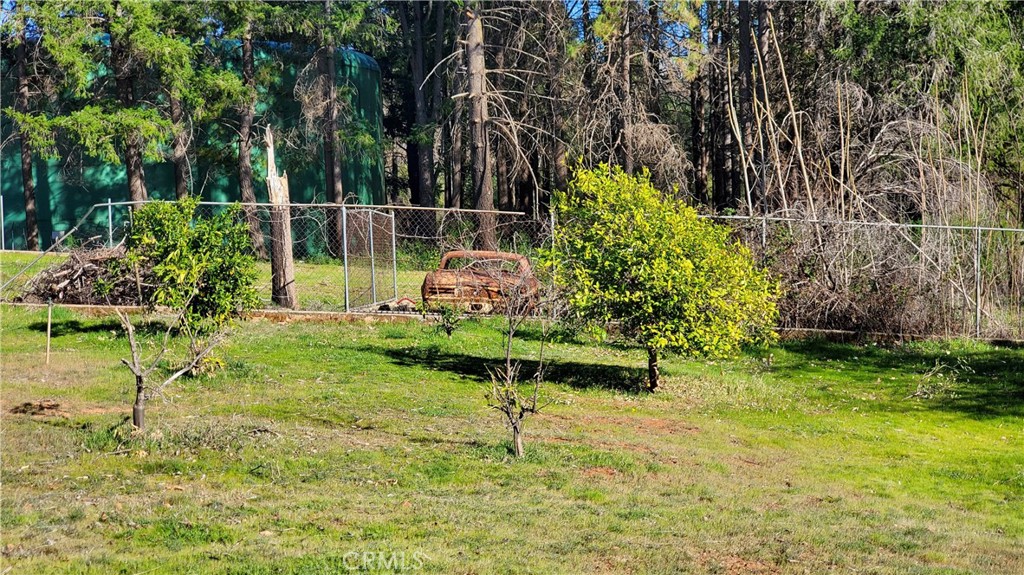 504 Nunneley Road Property Photo 7