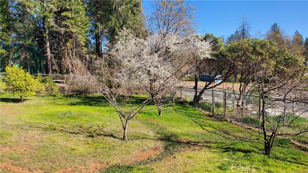 504 Nunneley Road Property Photo 8