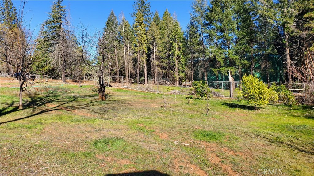 504 Nunneley Road Property Photo 9