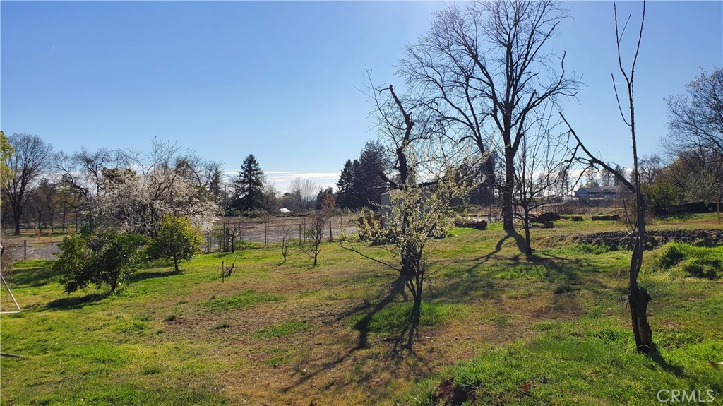 504 Nunneley Road Property Photo 11