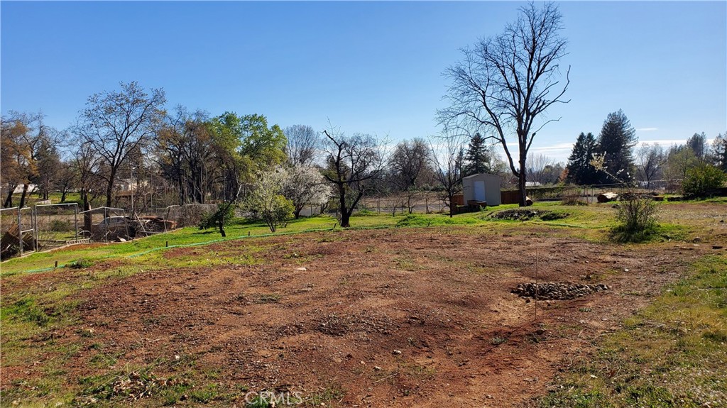 504 Nunneley Road Property Photo 12