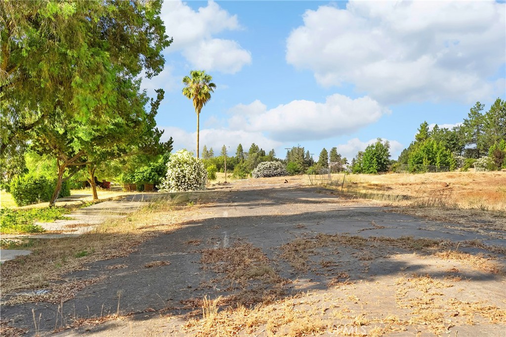 6118 Clark Property Photo 19