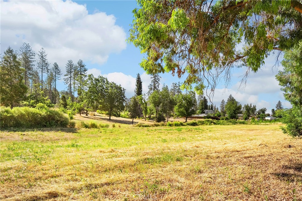 6118 Clark Property Photo 23