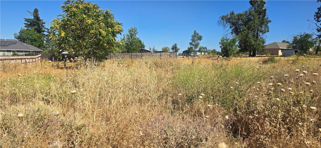 5355 Orchard Drive Property Photo 3