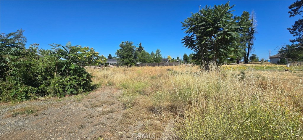 5355 Orchard Drive Property Photo 4