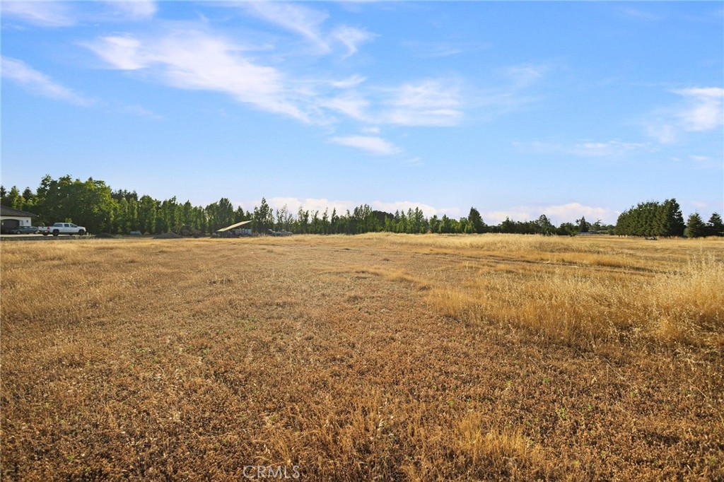 6690 County Road 21 Property Photo 10