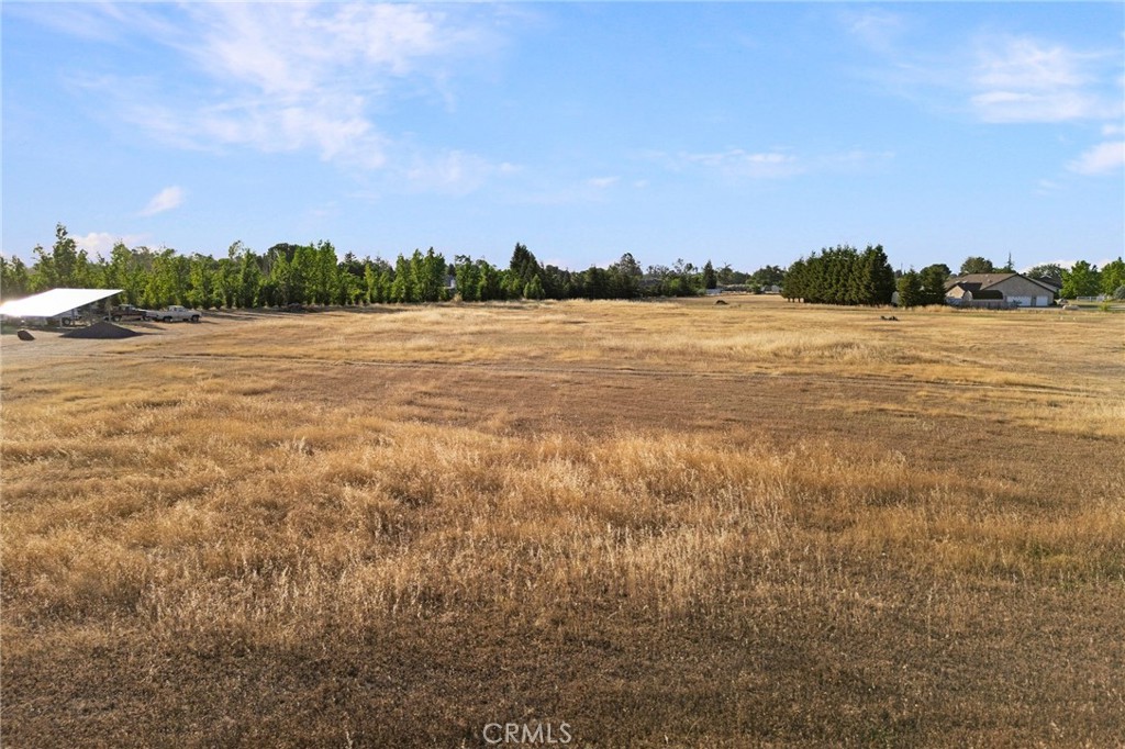 6690 County Road 21 Property Photo 12