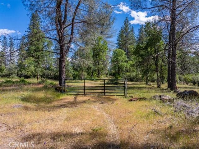 0 Backbone Property Photo 15