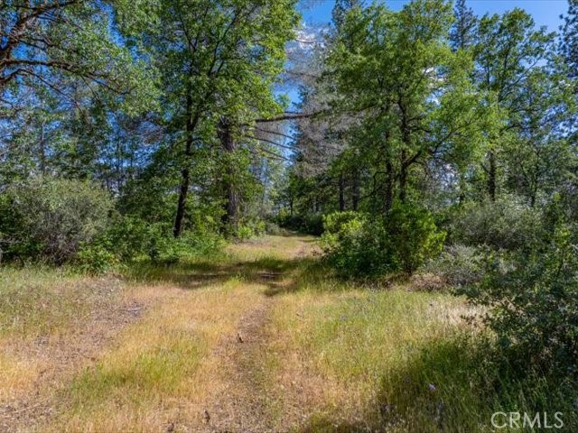 0 Backbone Property Photo 16