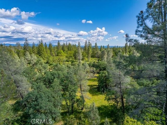 0 Backbone Property Photo 19